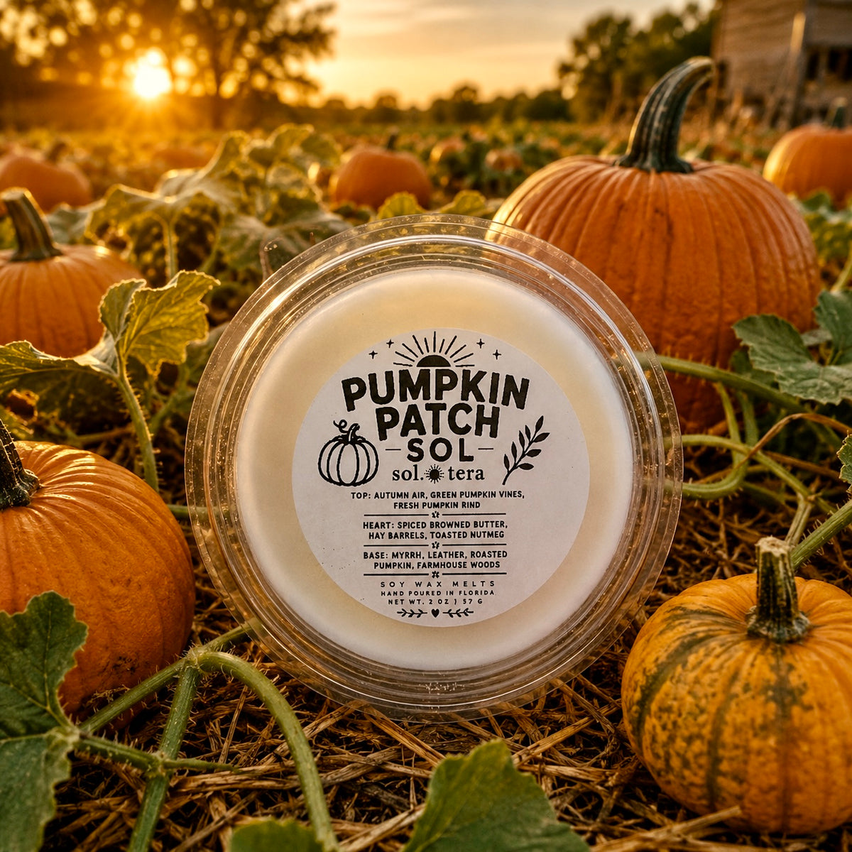 Pumpkin Patch SOL